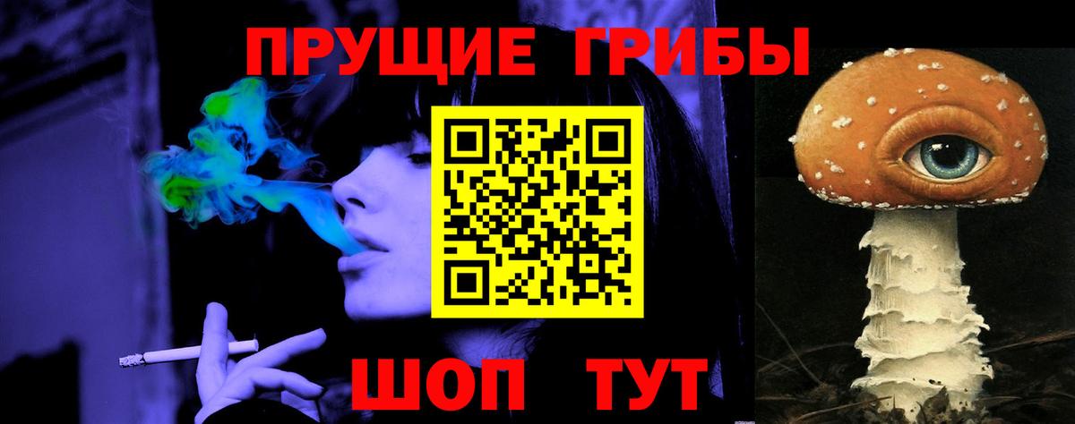 Свободный  Псилоцибиновые грибы Psilocybe  Вход с VPN 